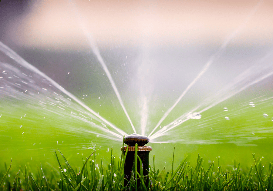 Moisture Management: Irrigation Essentials