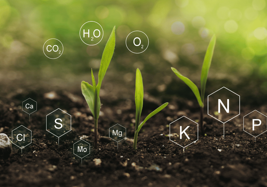 Fertilizing the Fairway: Nutrient Tools for Optimal Turf